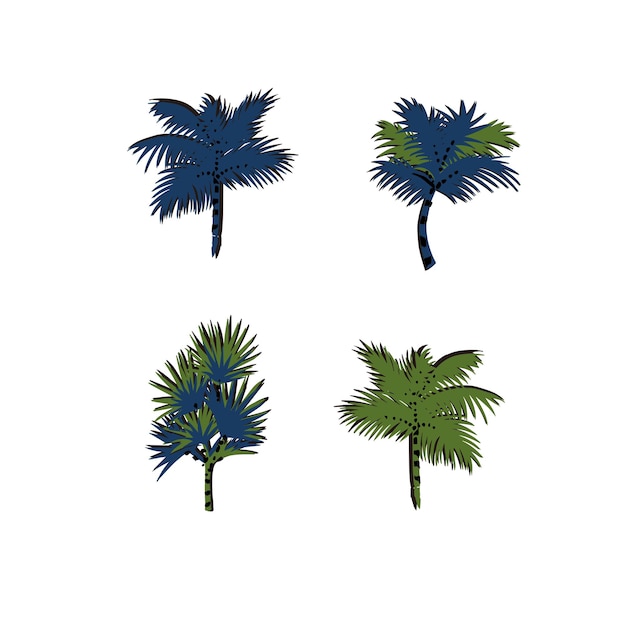 Vector handdrawn palmera elemento ilustración recurso gráfico obra de arte digital Vector Premium