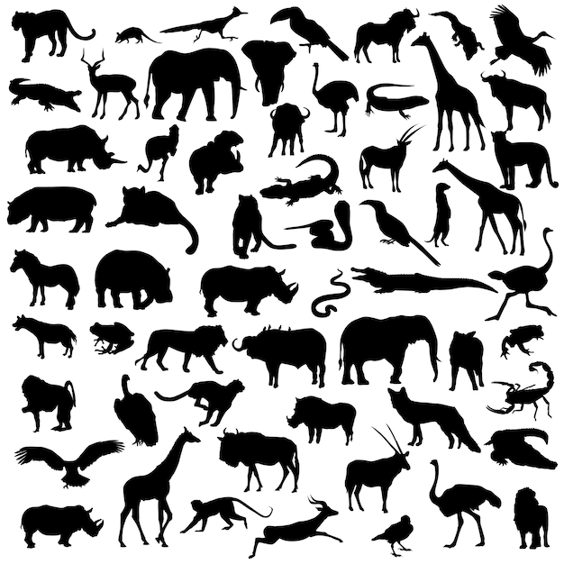 Afrika Safari Tiere Wild Life Silhouette Clipart Premium Vektor