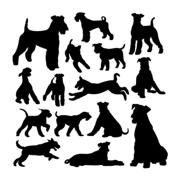 Airedale terrier hund silhouetten. | Premium-Vektor