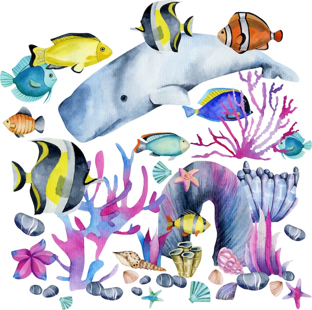 Aquarell Cachalot Und Exotische Fische Illustration Premium Vektor