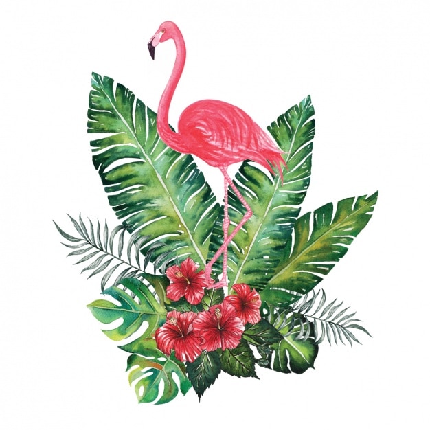 Aquarell Flamingo Dekorativ Kostenlose Vektor