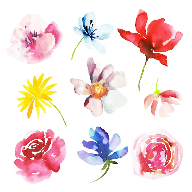 Aquarell Frühlingsblume Sammlung | Premium-Vektor