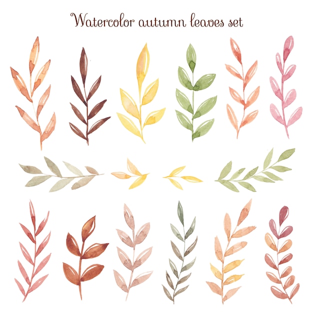 Aquarell Herbst Hand Zeichnen Blatter Premium Vektor