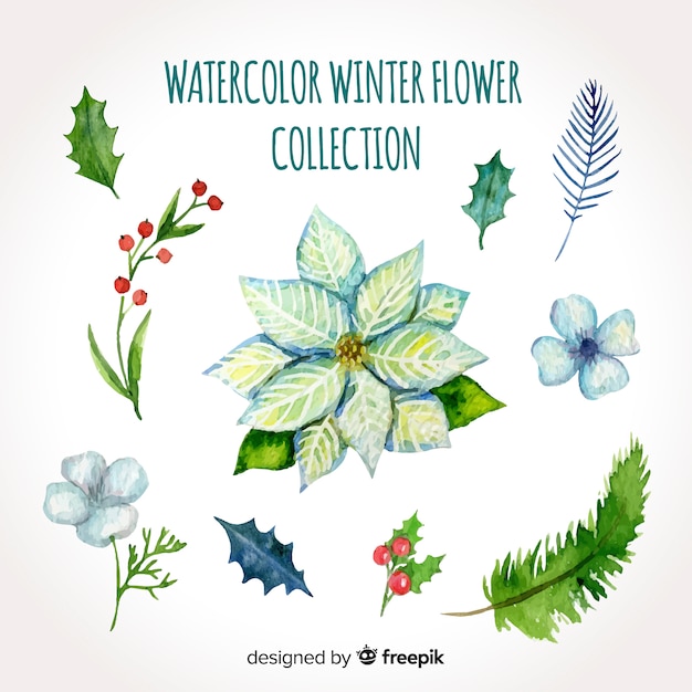 Aquarell Winter Blumen Sammlung Kostenlose Vektor