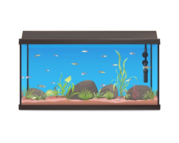 Aquariumillustration mit fischsteinen und -pflanzen. aquarium auf