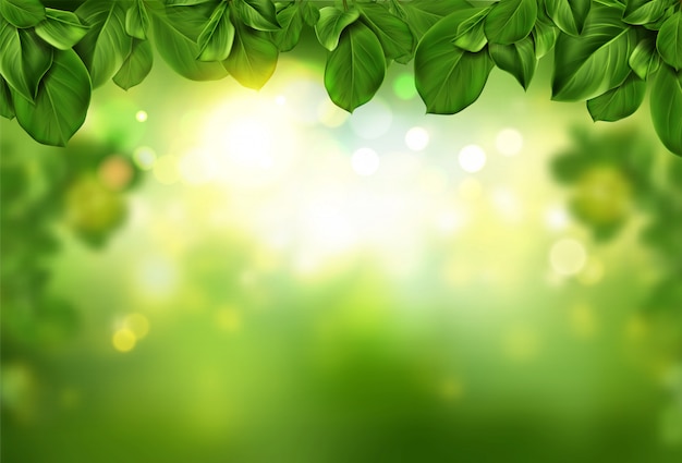 Baum verlässt grenze auf dem grünen abstrakten bokeh, das mit dem sonnenlicht belichtet wird, das scheint und weiches licht funkelt. Kostenlosen Vektoren