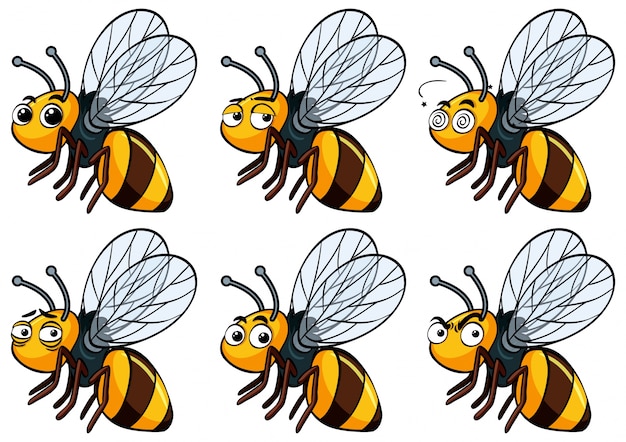 Biene Mit Verschiedenen Mimik Kostenlose Vektor