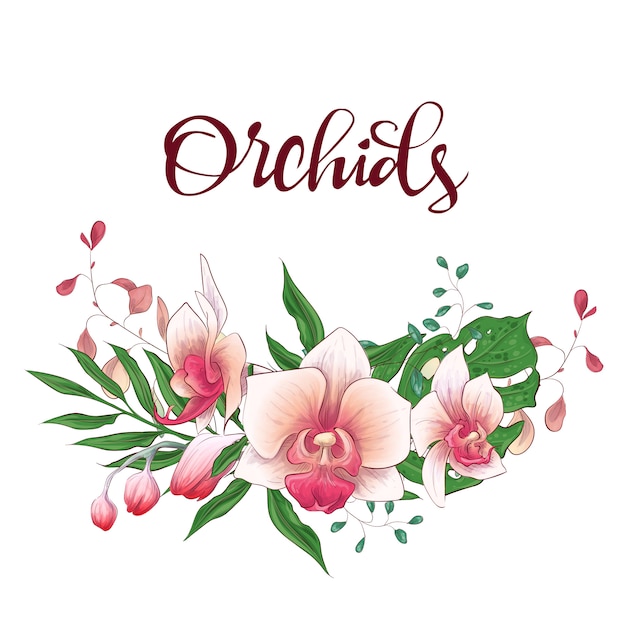 Blumenmusterrahmen Premium Vektoren