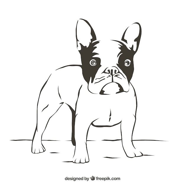 23+ French Bulldog Drawing Face