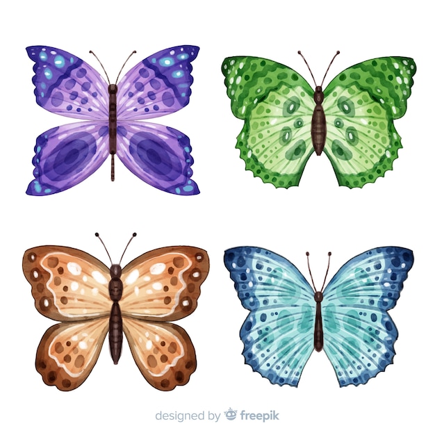 Bunte Schmetterlingsmotive Ausdrucken - 40 Mandala Vorlagen - Mandala