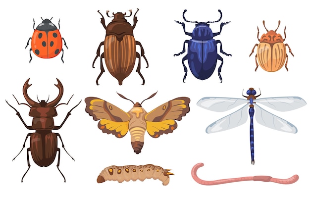 Käfer Bilder: Bringing Bugs to Life with Drawing