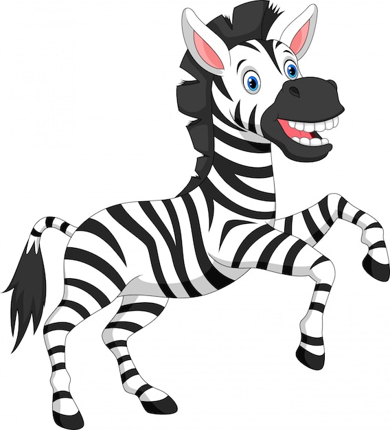 zebra cartoon cut out