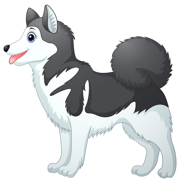 Cartoon siberian husky | Premium-Vektor