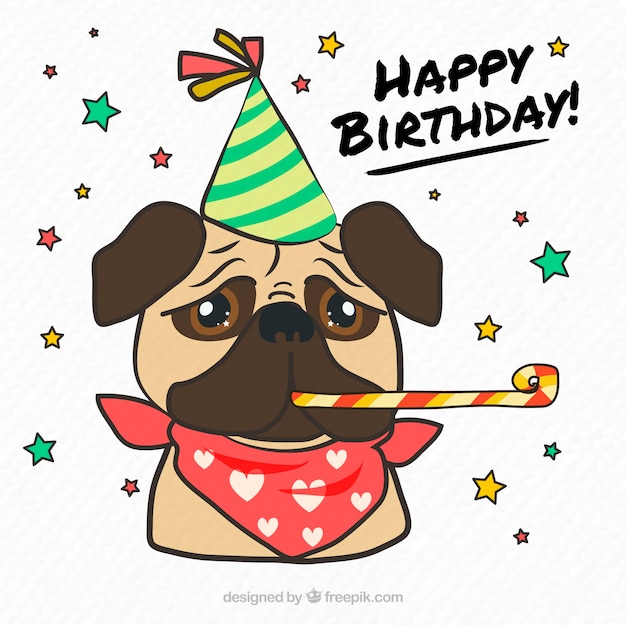 Classic mops mit geburtstag zubehör Kostenlose Vektor