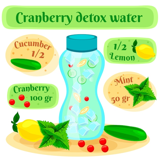 Cranberry Detox Wasser Rezept Flache Zusammensetzung Poster Mit Infuse Flasche Und Gurke Zitronenminze Zutaten Kostenlose Vektor