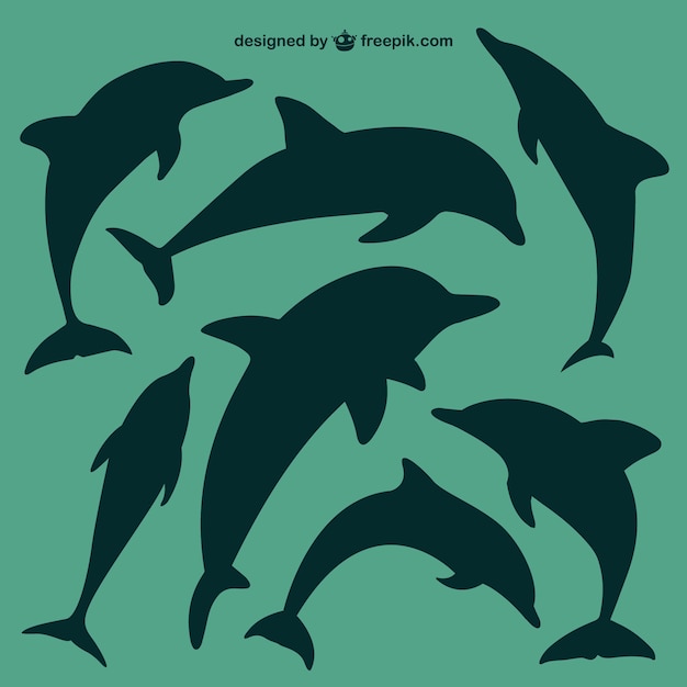 39 delfine bilder kostenlos  besten bilder von ausmalbilder