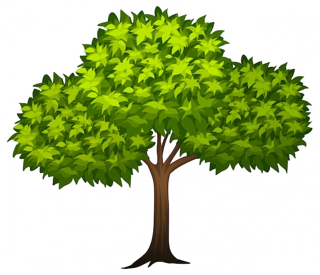 Ein Gruner Baum Kostenlose Vektor