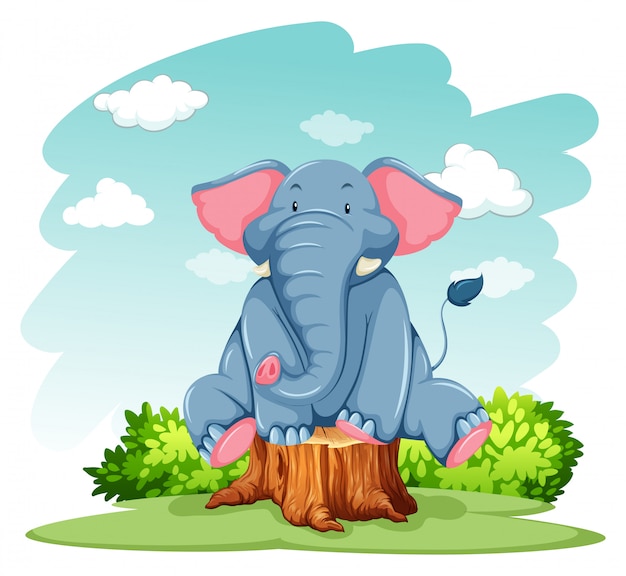 Bilder Baby Elephant Gratis Vektoren Fotos Und Psds