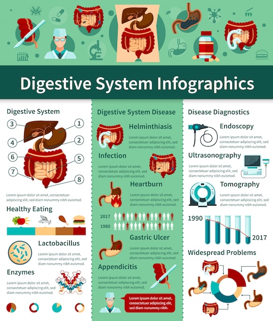 Flache infografiken des verdauungssystems mit verschiedenen arten von krankheiten und diagnosebeschreibungen Kostenlosen Vektoren