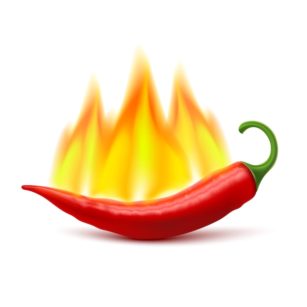 Flaming hot chili pepper pod bild | Kostenlose Vektor