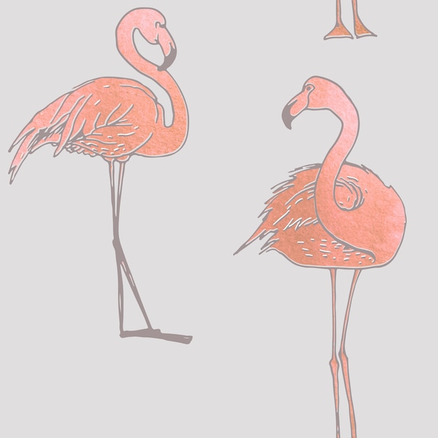 Flamingo-muster | Kostenlose Vektor