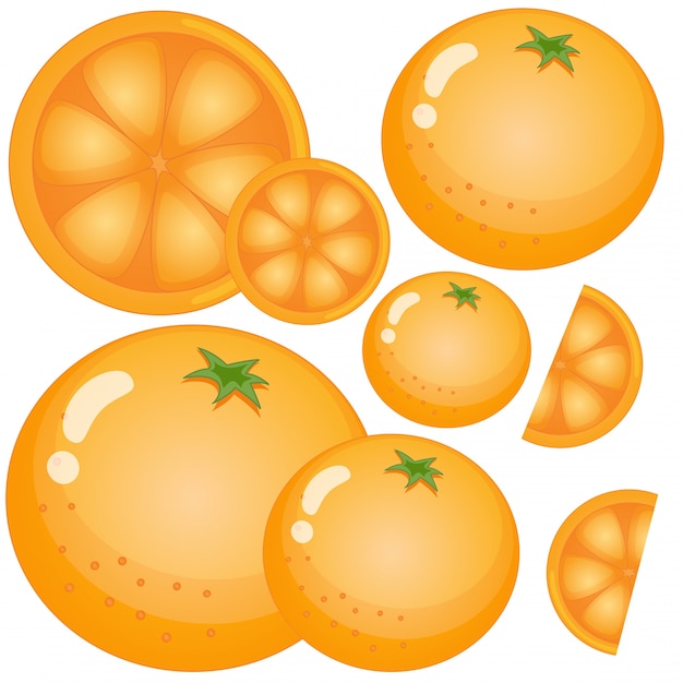 Frische orangen auf weißem hintergrund | Premium-Vektor
