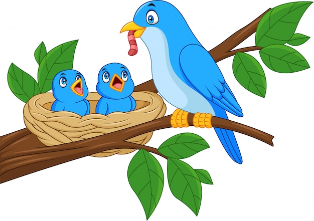 Fütterungsbabys des blauen vogels der mutter in einem nest Premium Vektoren
