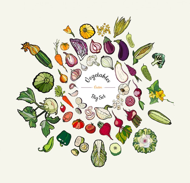 Gemüse lokalisierte hand gezeichnete abbildung. vector großen satz gezeichnetes farbiges gemüse des hippies hand für vegetarisches plakat Premium Vektoren