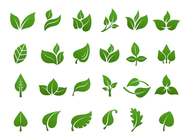 Grun Hinterlasst Logo Pflanzen Natur Oko Garten Stilisierte Ikone Vektor Botanische Sammlung Premium Vektor
