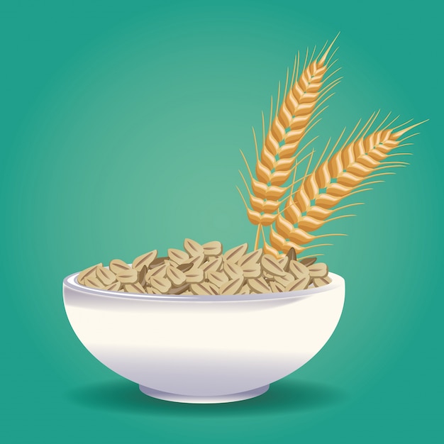 Haferflocken gesundes essen Premium Vektoren
