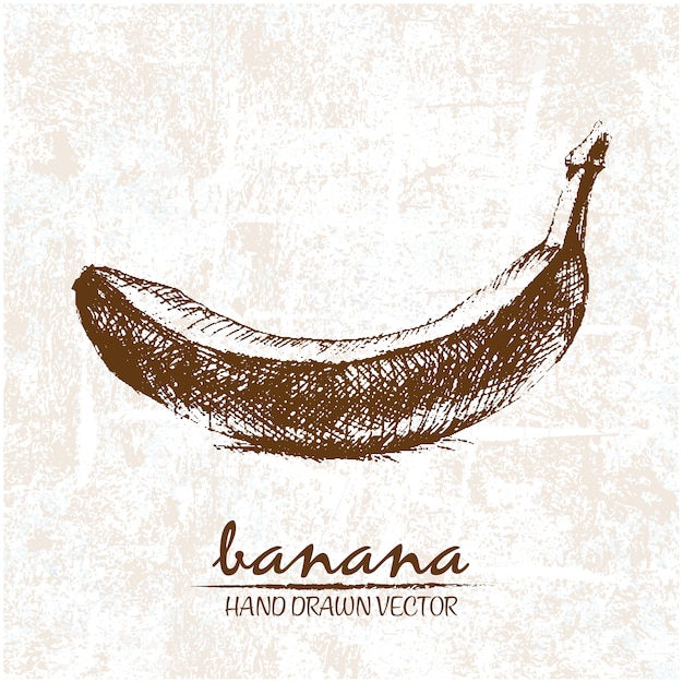 Hand Gezeichnet Banane Design Kostenlose Vektor