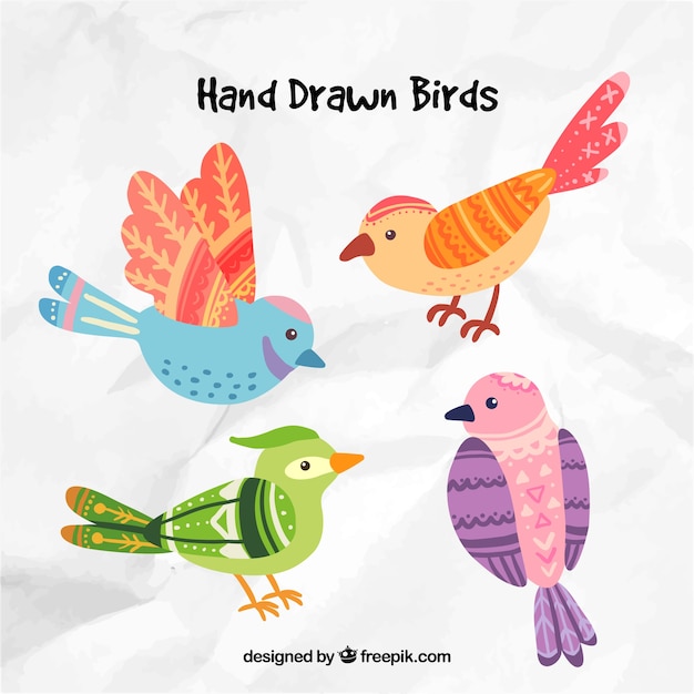 hand gezeichnete vögel  download der premium vektor