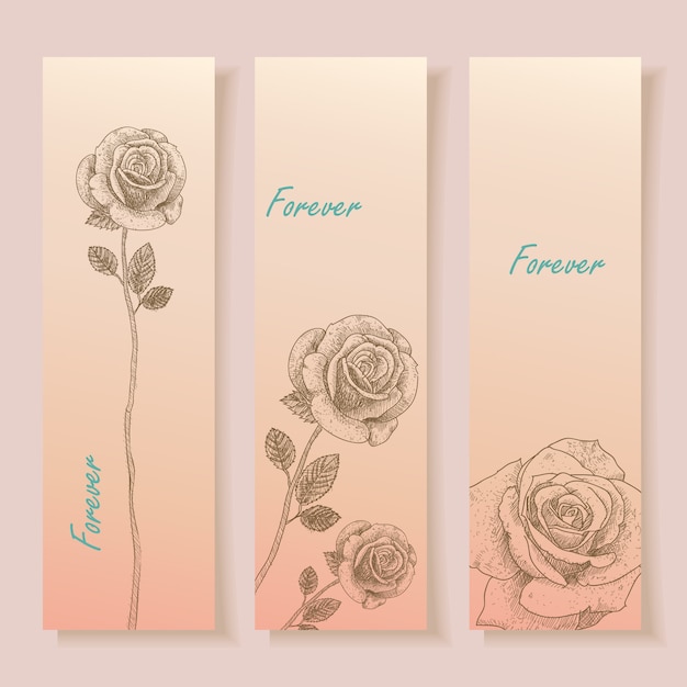 Kostenlose Vektor Hand Gezeichneten Rosen Banner