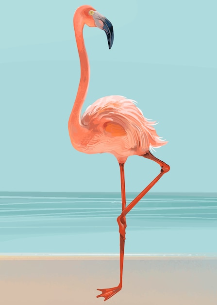 Hand Gezeichneter Rosa Flamingo Kostenlose Vektor