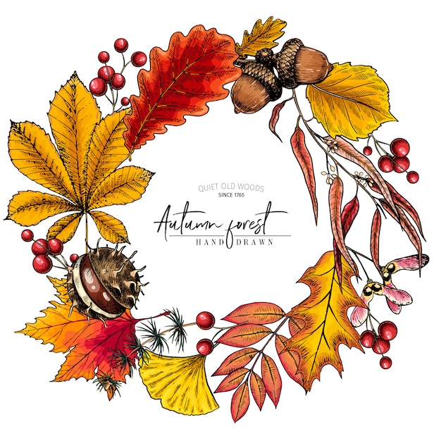 Hand gezeichnetes herbstblatt. vektorbunter kranz Premium Vektoren