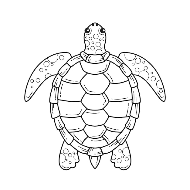 Handgezeichnete schildkröten-umrissillustration | Kostenlose Vektor