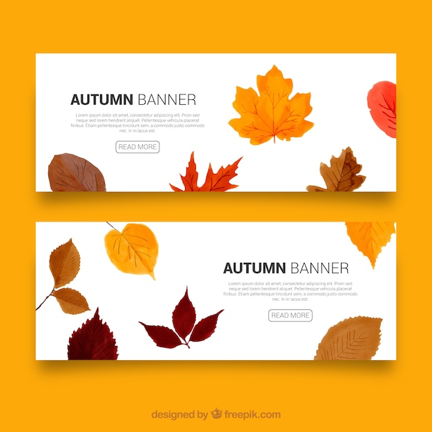 Herbst Banner Mit Blattern Kostenlose Vektor