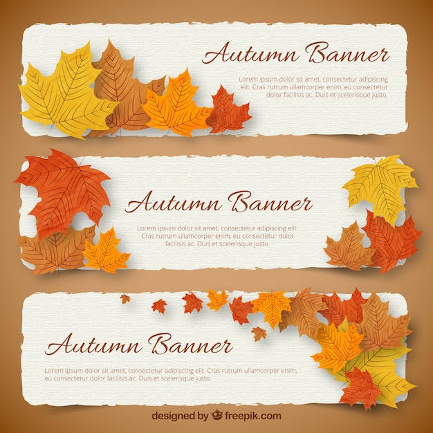 Herbst Banner Kostenlose Vektor