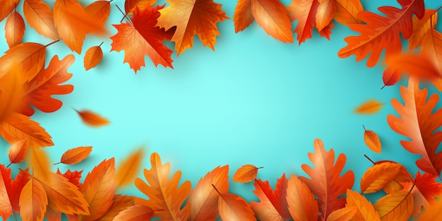 Herbst Hintergrund Poster Und Banner Vorlage Mit Bunten Ahorn Und Eiche Herbstlaub Premium Vektor