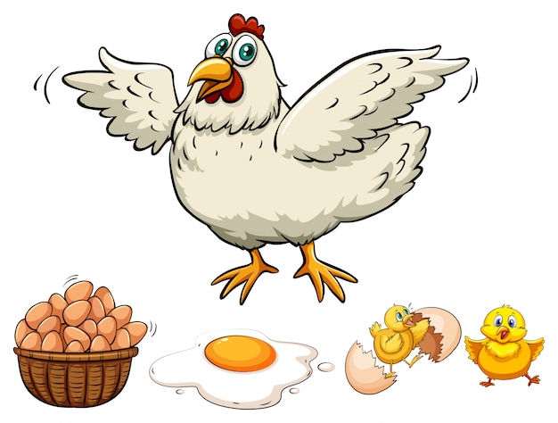 Huhn und eier im korb | Kostenlose Vektor