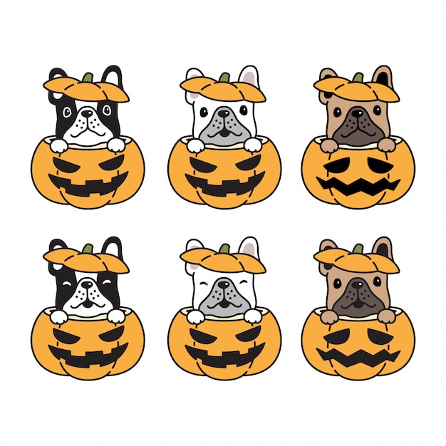 Hund französisch bulldogge halloween kürbis cartoon illustration