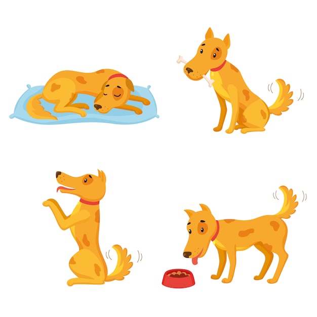 Hund in verschiedenen staaten. cartoon-zeichensatz. schlafen, knochen nagen, durchführen, essen. Kostenlosen Vektoren