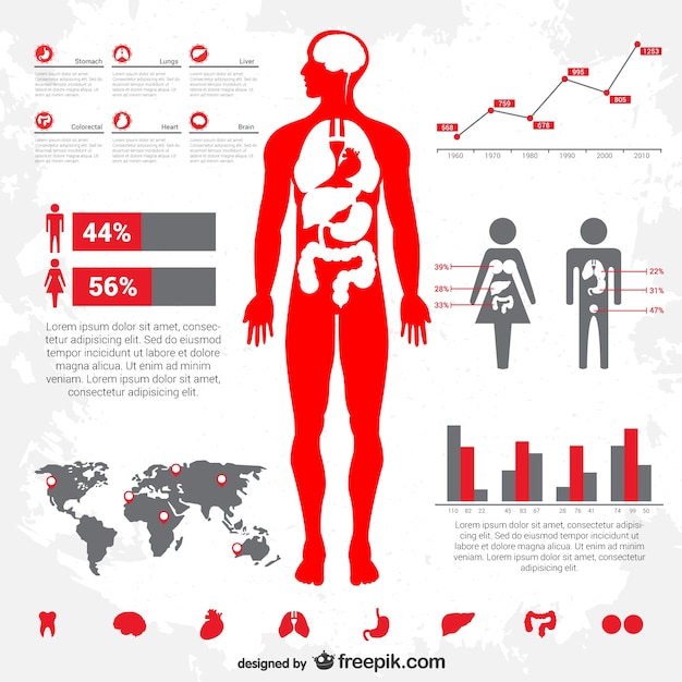 Infografik Medizinische Kostenlosen Vektor Kostenlose Vektor