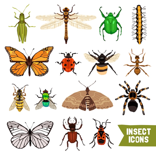 Insekten Icons Set Kostenlose Vektor