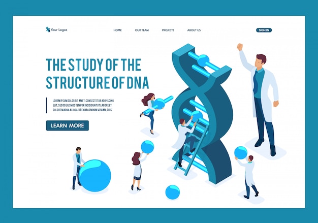 Isometrische wissenschaftler untersuchen die struktur der dna und machen experimente landing page Premium Vektoren