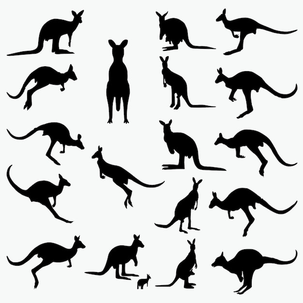 Free Free 160 Baby Kangaroo Svg SVG PNG EPS DXF File