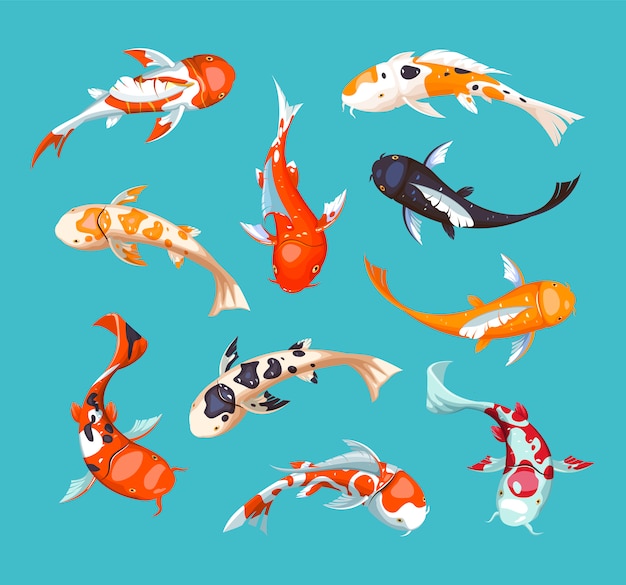 Koi Karpfen Koi Japanische Fischillustration Chinesischer Goldfisch Koi Symbol Des Reichtums Aquarium Illustration Fisch Nahtloses Muster Premium Vektor