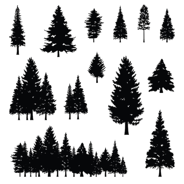 Koniferen-kiefern-tannen-nadelbaum-baum forest silhouette | Premium-Vektor