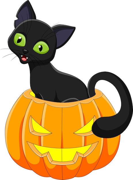 Lustige Katze Der Karikatur Mit Halloween Kurbis Premium Vektor