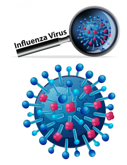 Nahaufnahme isoliertes objekt des virus namens influenzavirus Nahaufnahme isoliertes objekt des virus namens influenzavirus
